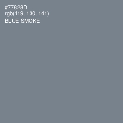 #77828D - Blue Smoke Color Image